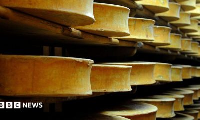 Beaufort cheese wheels stored in a cellar in eastern France. Archive photo