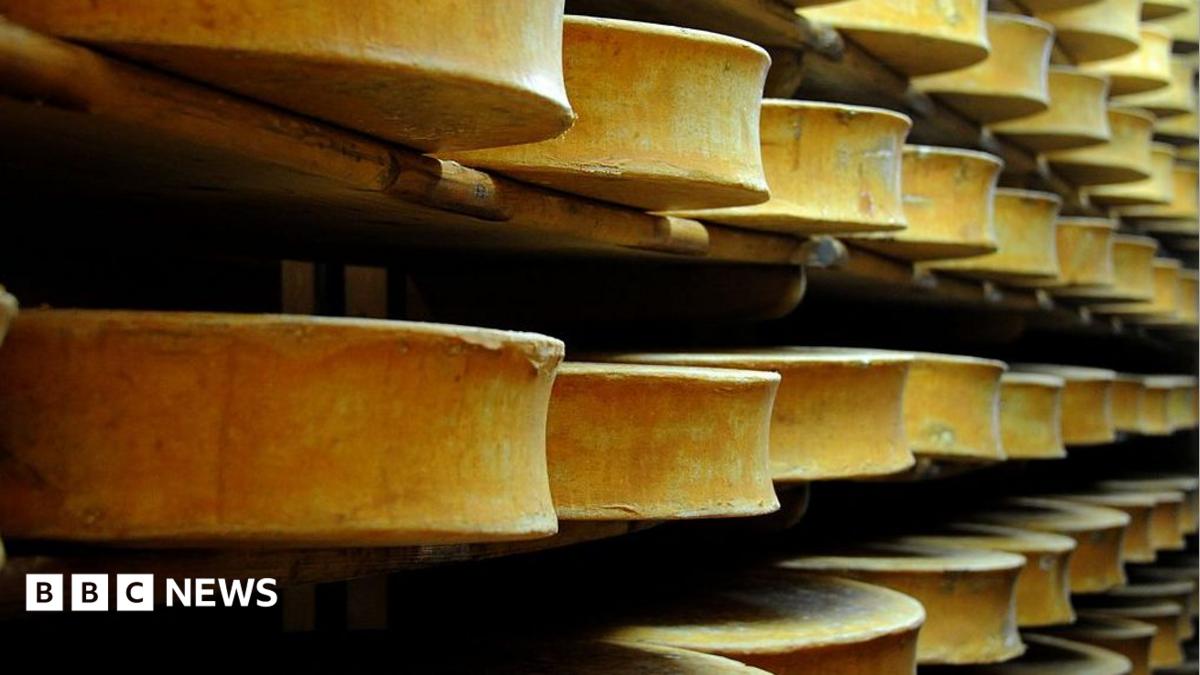 Beaufort cheese wheels stored in a cellar in eastern France. Archive photo