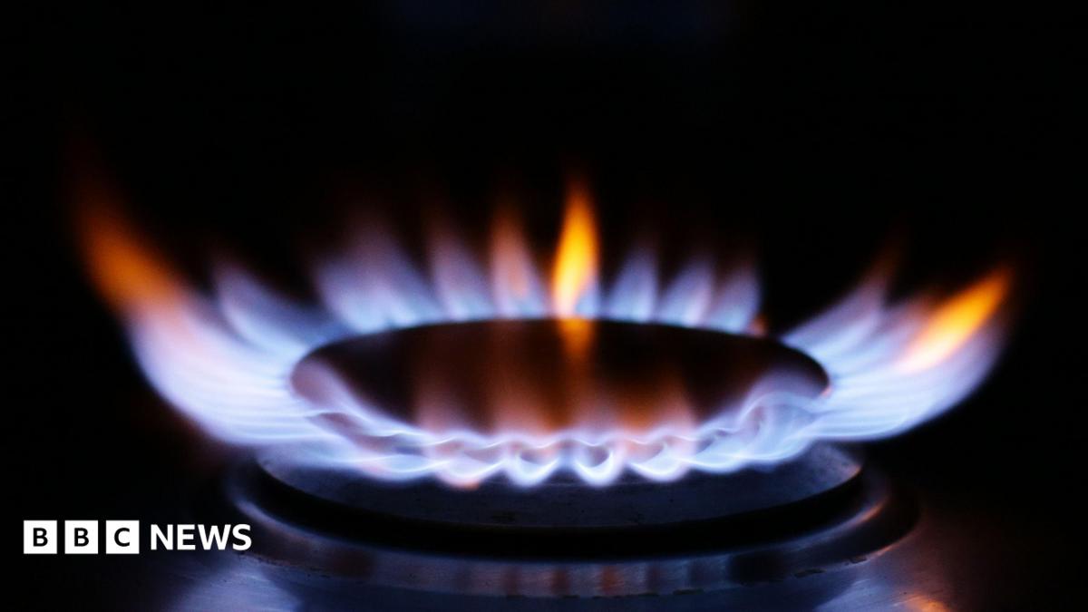 A close up of a ring on a gas cooker with blue flame burning