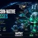 The Rise of Stablecoin-Native Businesses