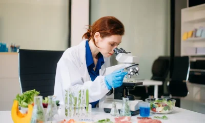 Edlong targets taste challenges with ingredient platform