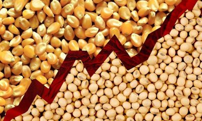 Innovation key as margins narrow, says USDA Economist
