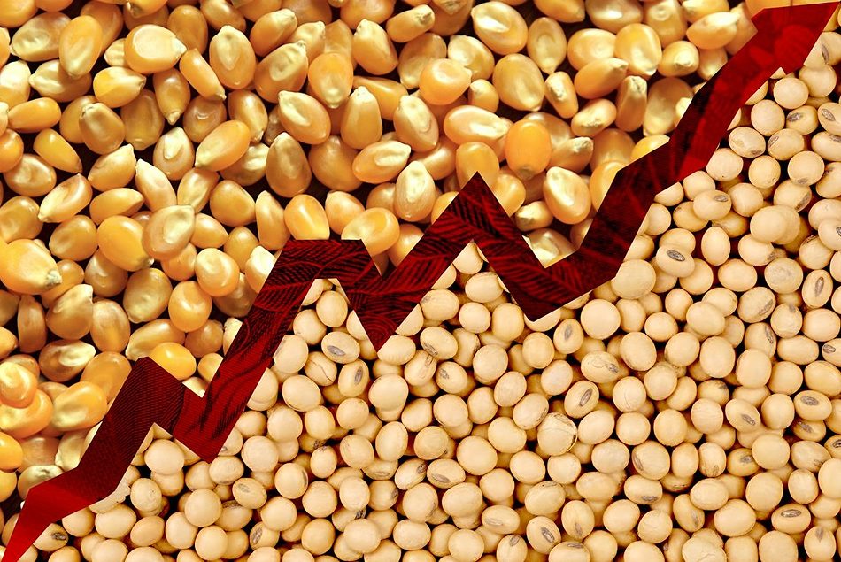 Innovation key as margins narrow, says USDA Economist