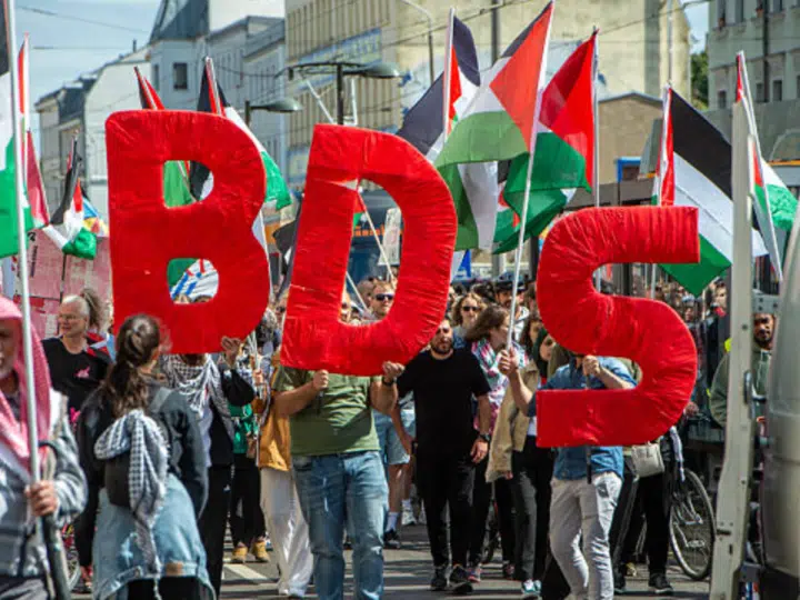BDS, Elbit Systems rejected