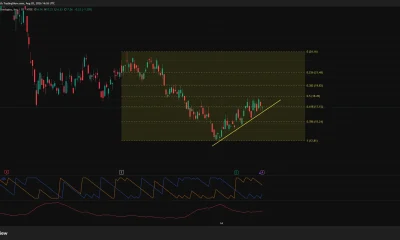 BMNR daily chart shows the stock near $17.06, testing $17.15 resistance while holding above a rising trendline.
