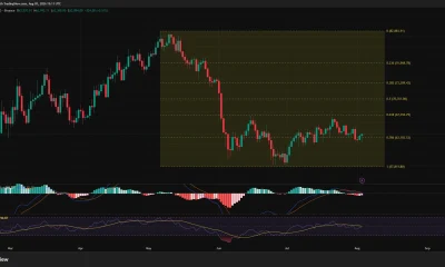 Bitcoin daily chart shows BTC rebounding to $63,894 above $63,183 support, while RSI and MACD signal weak momentum.