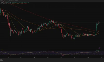 Bitcoin daily chart shows BTC near $79,500 above all major moving averages, while RSI at 81 signals overbought conditions.