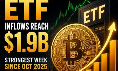 Crypto Breaking News