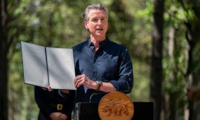 S&P 500-Listed Utility Stocks Crater On Newsom California Wildfire Bill