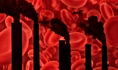 How Climate Change Is Messing With Your Blood