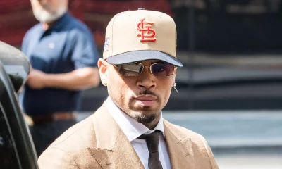 REPORT: Court Rules Chris Brown Ex-Housekeeper Maria Avila Has Right To Collect Royalties & Tour Income To Satisfy $13M Judgment Following Dog Attack