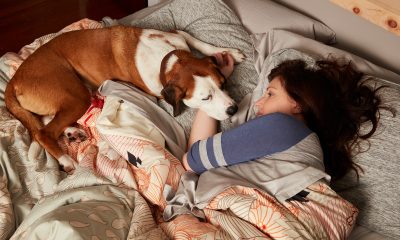 'Downward Dog' Is One of TIME's 50 Most Underappreciated TV Shows