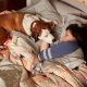 'Downward Dog' Is One of TIME's 50 Most Underappreciated TV Shows