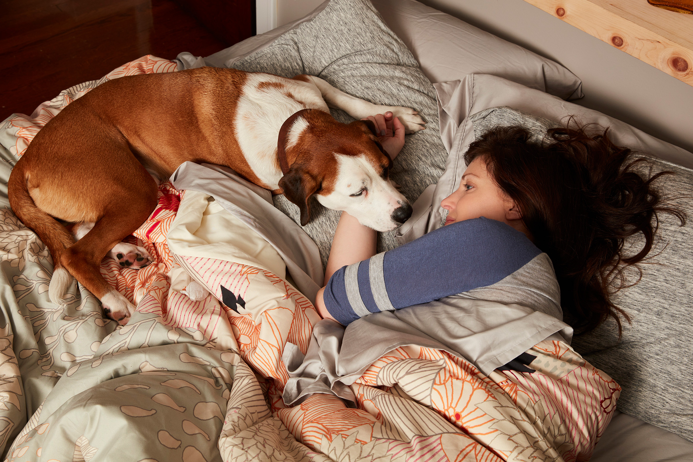 'Downward Dog' Is One of TIME's 50 Most Underappreciated TV Shows