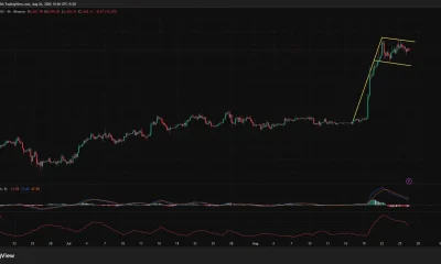 Ethereum 4-hour chart shows ETH consolidating near $2,453 inside a bull flag, while MACD momentum weakens and ADX remains elevated.