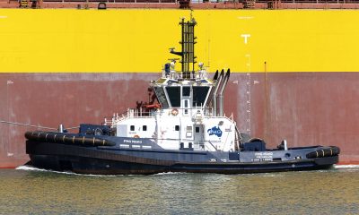Fortescue takes profit hit from Iron Bridge, marks ore export record