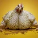 A section of a poster from Project Slingshot's Frankenchickens campaign