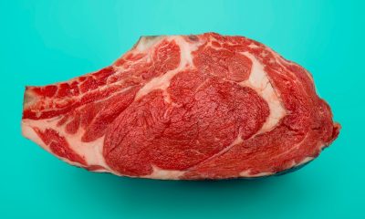 Could Eating Less Protein Help You Age Better and Live Longer?