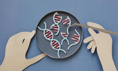A One-Time Treatment for High Cholesterol Shows Promising Results