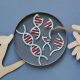 A One-Time Treatment for High Cholesterol Shows Promising Results