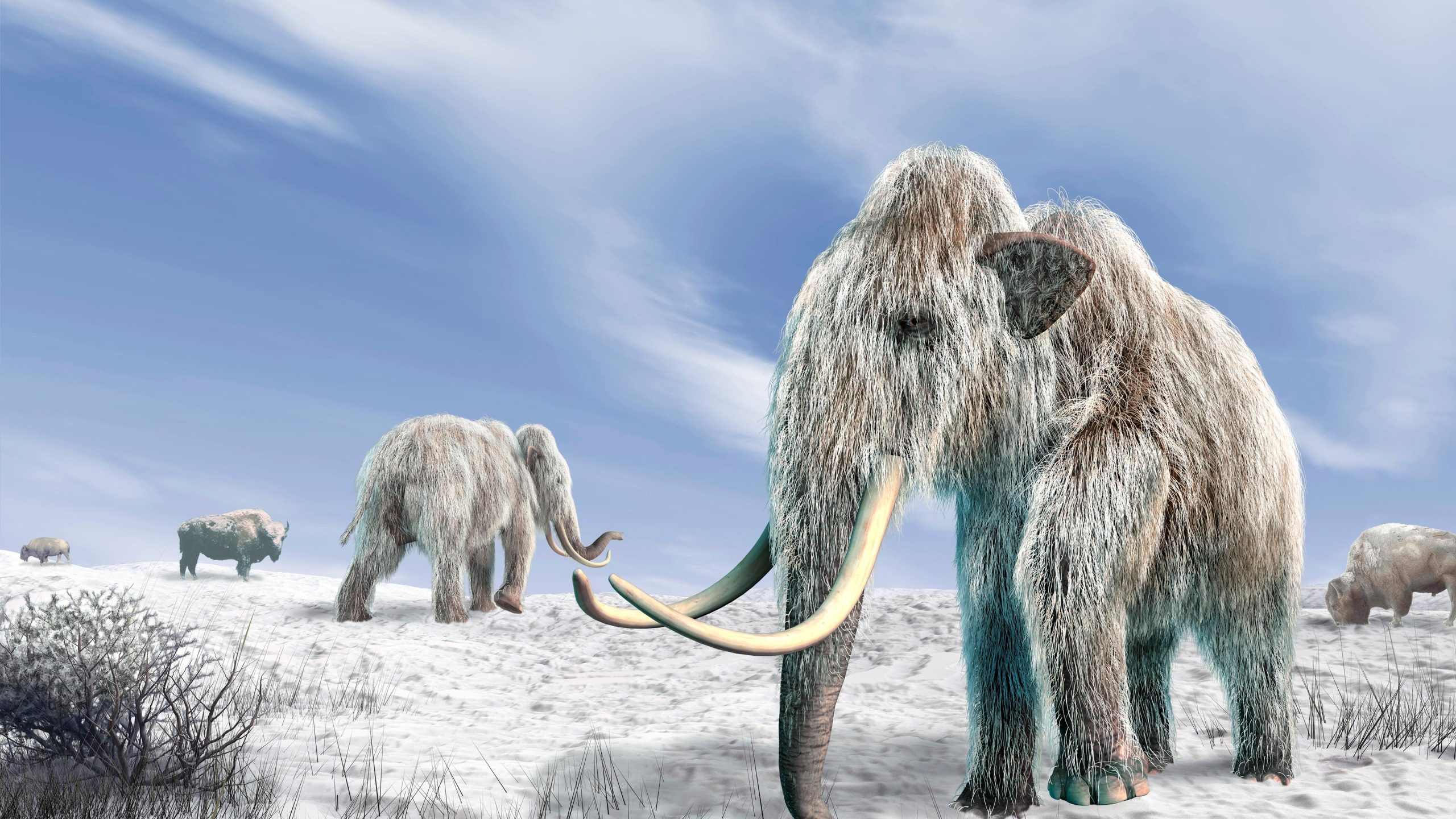 The Woolly Mammoth’s Comeback Is Taking Longer Than Expected