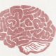 Estrogen Therapy May Help Protect Against Alzheimer’s Disease, Study Says