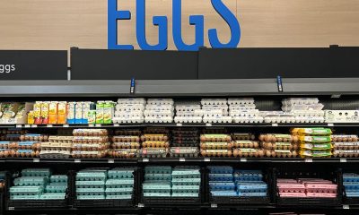 Salmonella Egg Recall Is Now Class I, the FDA’s Highest Risk Level
