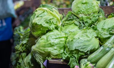 Two People Have Died in the Cyclospora Outbreak