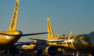 Google’s $10 Million Bid for Spirit Airlines' Data Reveals AI’s Next Frontier