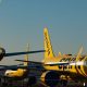 Google’s $10 Million Bid for Spirit Airlines' Data Reveals AI’s Next Frontier