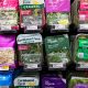 Is the U.S. Seeing a Surge in Foodborne Illnesses?