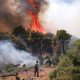 Greece Battles Raging Wildfires After Collision Between Firefighting Helicopters Kills Two