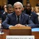 A Senate Panel Has Voted to Hold Fauci in Contempt of Congress. What Happens Next?