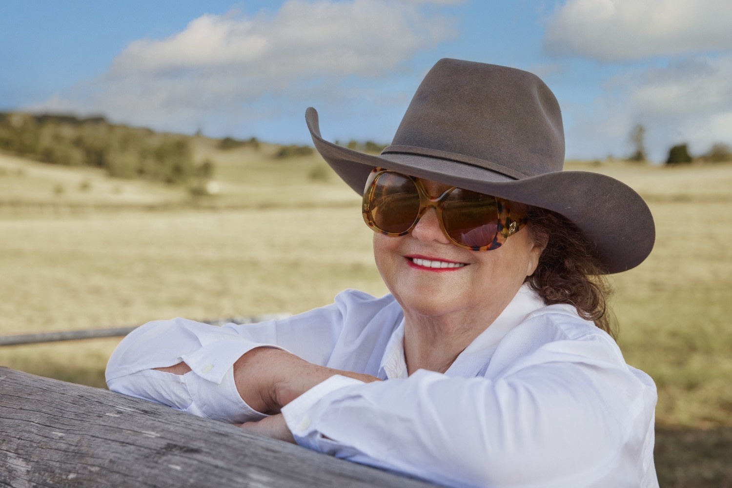 Labor, Greens coming for your prosperity: Rinehart