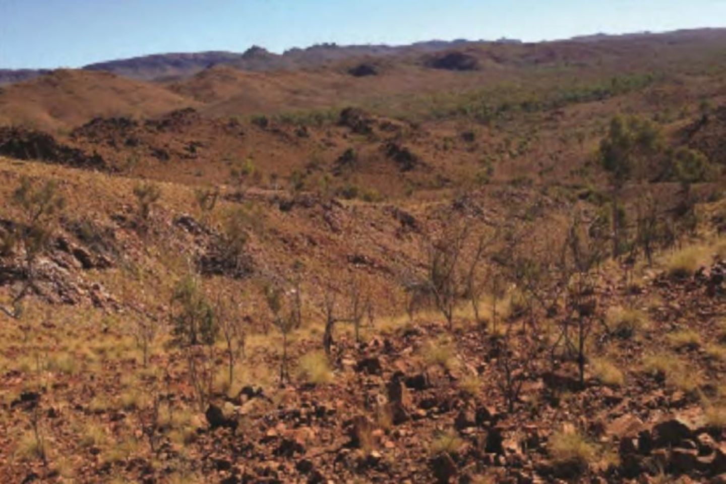 Hammer receives binding offer from Austral