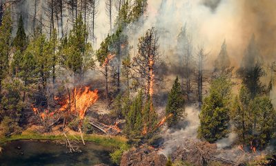 What Living Through the Hottest July Ever Looked Like Across the U.S.