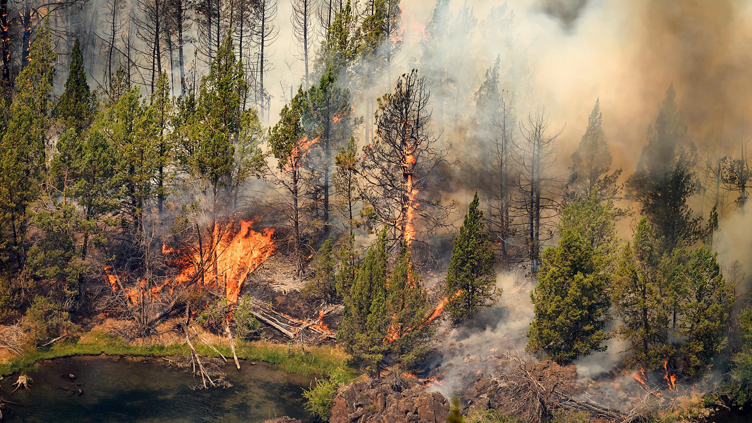 What Living Through the Hottest July Ever Looked Like Across the U.S.