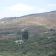 Israeli settlers