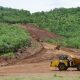 Ex-chair, Lindian Resources dispute drags in court