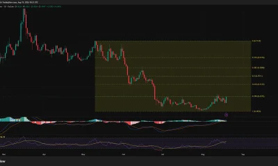 Mantle daily price chart shows MNT rebounding from $0.39 to $0.455 and testing Fibonacci resistance at $0.4575 as RSI rises to 58.