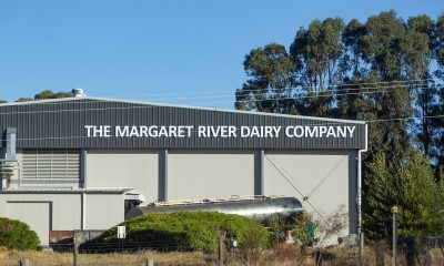 Mundella, Margaret River Dairy Company set to be sold