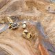 Terra Mining stands firm to wind-up Pilbara iron ore project