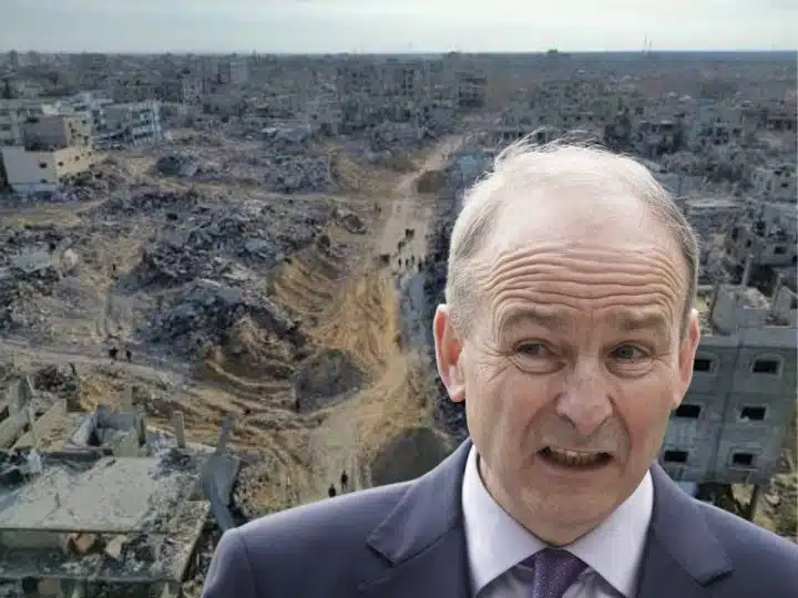 Irish government Palestine
