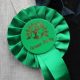 Green Party anti-Zionism