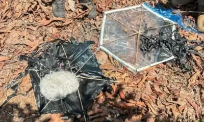 Israel kites