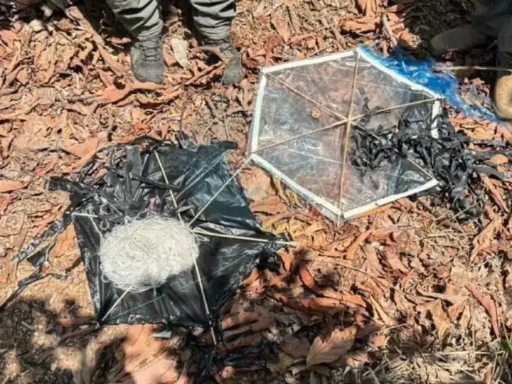 Israel kites