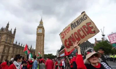 Pro-Palestine