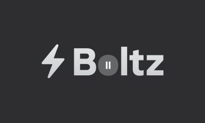 Bitcoin bridge Boltz suspends services as AI hacks outpace patches