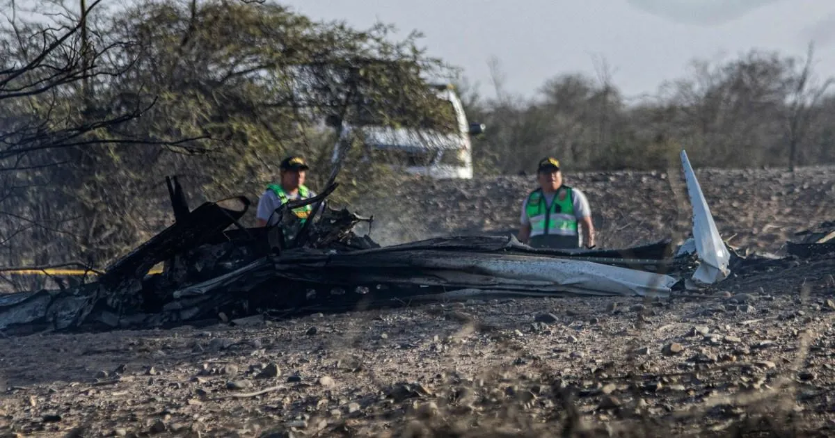 Tourist plane crash at Peru's Nazca Lines kills all 13 on board | News World