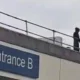 Man dressed as 'Grim Reaper' climbed onto hospital roof and stared at patients